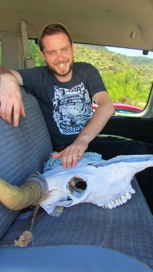 bull skull with horns in seat of vehicle for Unit 9 El Jimador shoot