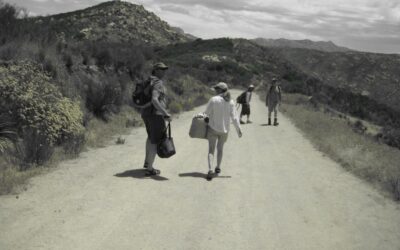 Lyons Valley Desert Hike